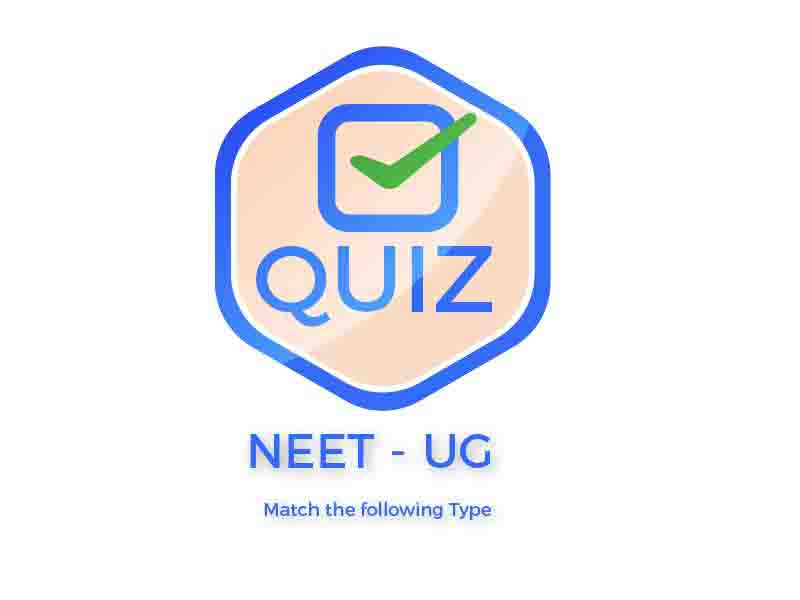 Quiz, Match the following type