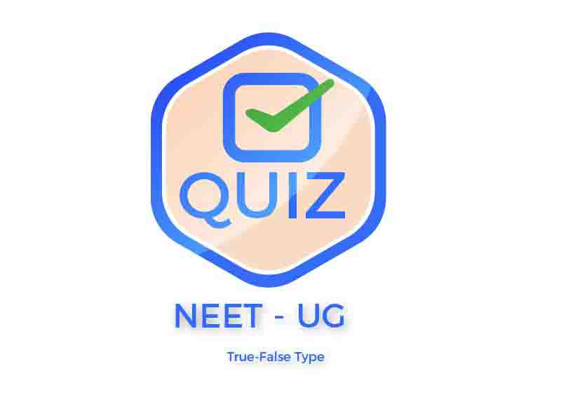 Quiz, Treu False type