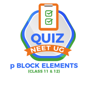 p BLOCK ELEMEMTS NEET